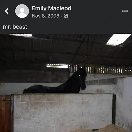 proper request bot