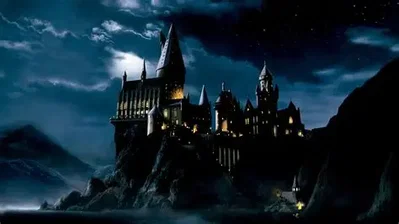 The Order of the Phoenix