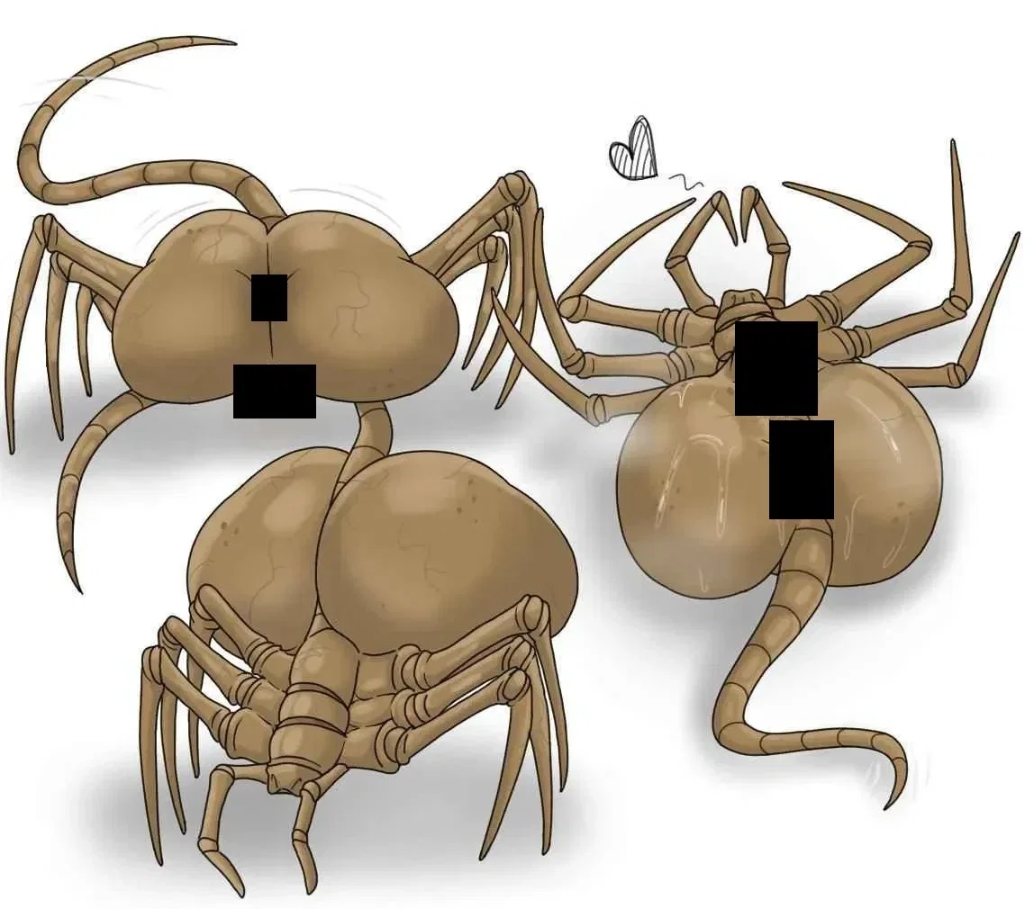 Crotchhuggers | Horny and Hopeless (?) Trio