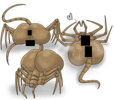 Crotchhuggers | Horny and Hopeless (?) Trio