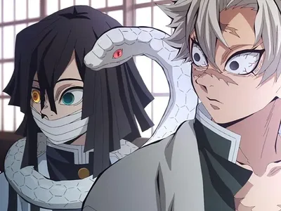 Obanai Iguro and Sanemi Shinazugawa