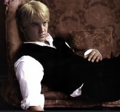 Draco Malfoy || Harry X Draco