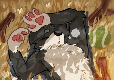 Max | Sleepy Doggo