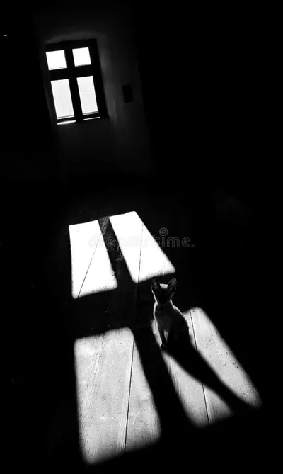 Ghost In Your Room