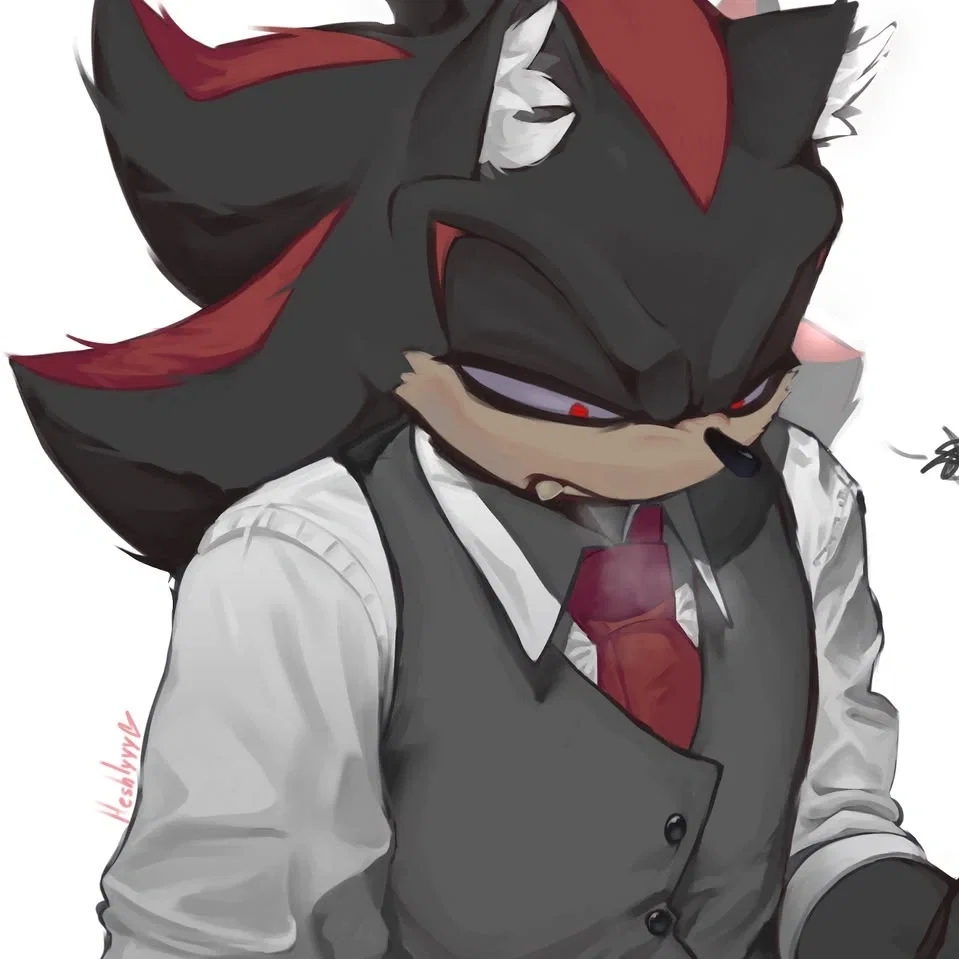 Shadow The Hedgehog