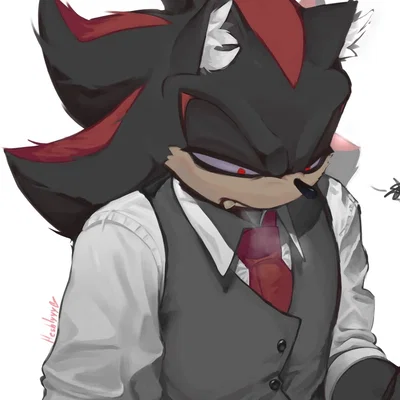 Shadow The Hedgehog