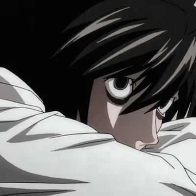 ˎ ˊ˗ 𐙚 L Lawliet 