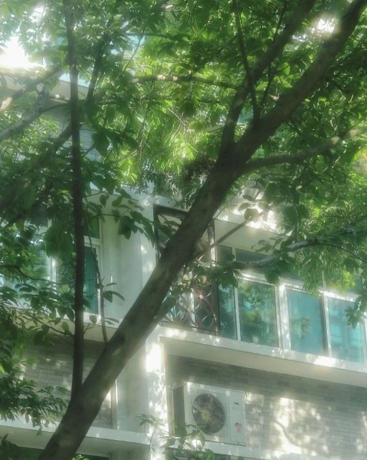 Evergreen University 
