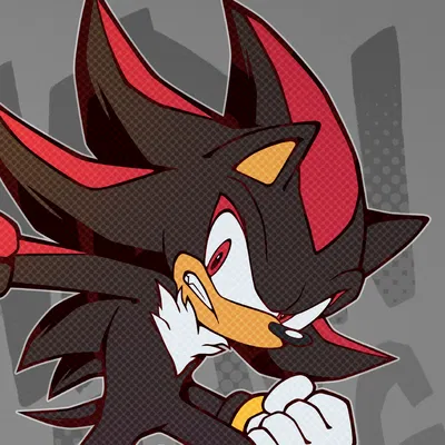 Shadow the Hedgehog 