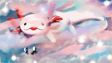 The axolotl