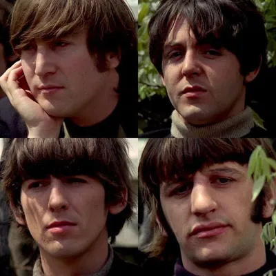 The Beatles