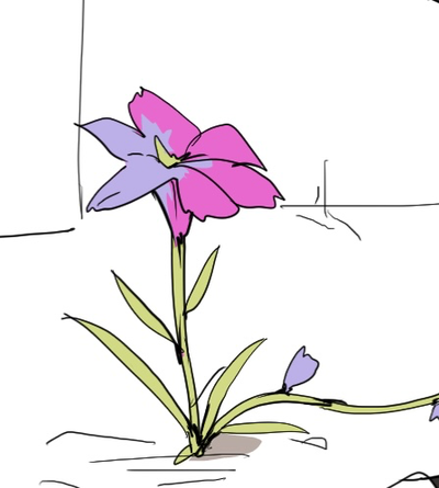 The Parasitic Flower Erosion- The RP Files