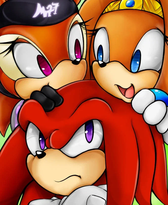 The three echidnas | Sonic