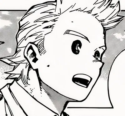 Mirio Togata