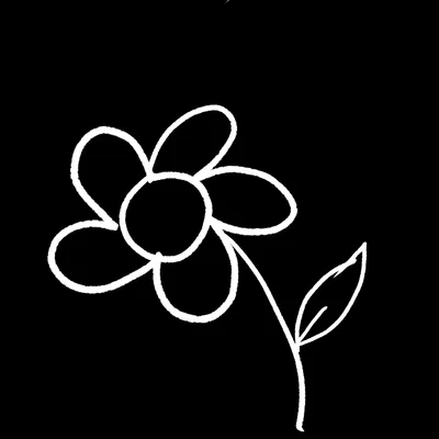 🌸 Notice 🌸