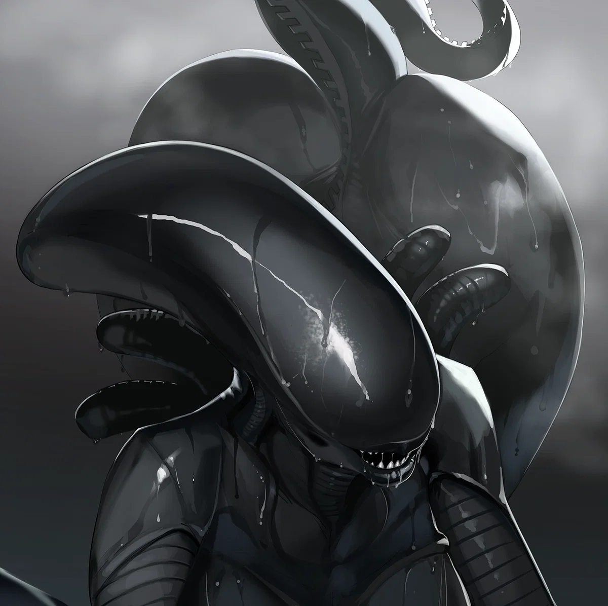 Xenomorph Intruder
