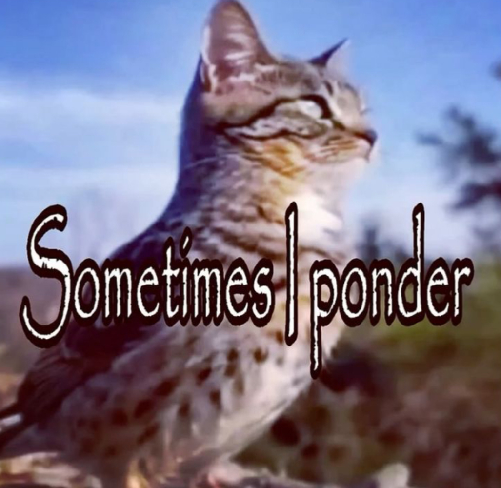 Thinking