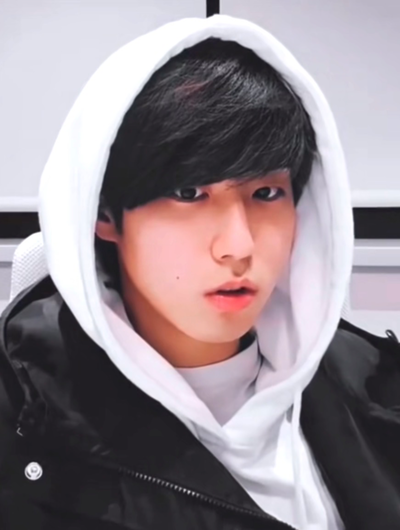 Han Jisung 