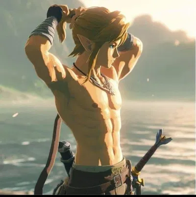 Link | Breath of The Wild