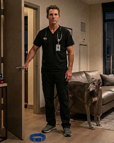 Dr. Jack Abbot | Paws and Reflect