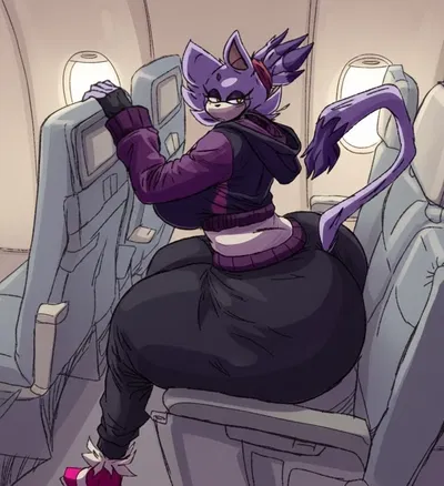 Blaze the cat (Lost in a new world)