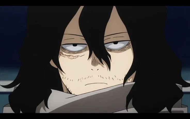 Shota Aizawa (Eraserhead)