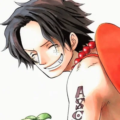 ONE PIECE – 02 Ace
