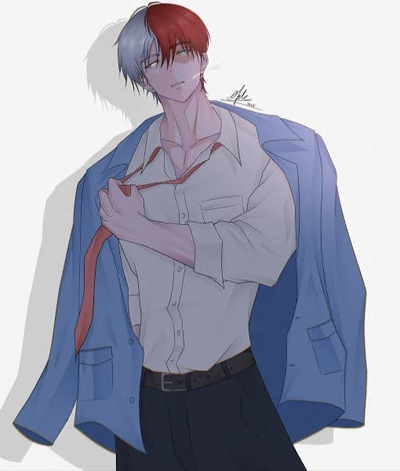 Shoto Todoroki 