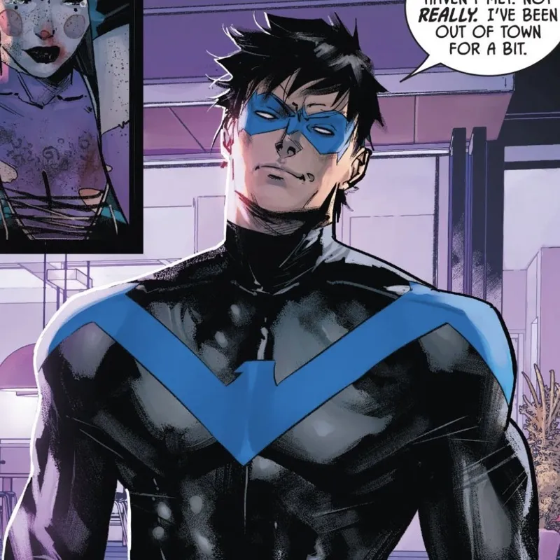 NIGHTWING - His Cat