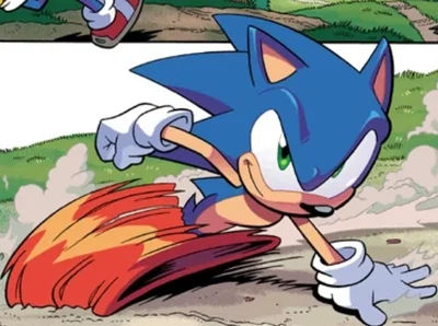 Sonic RP thingy