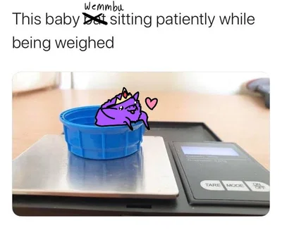 [Request form]