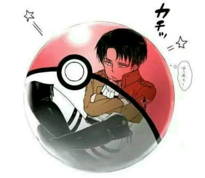 Pocket Levi