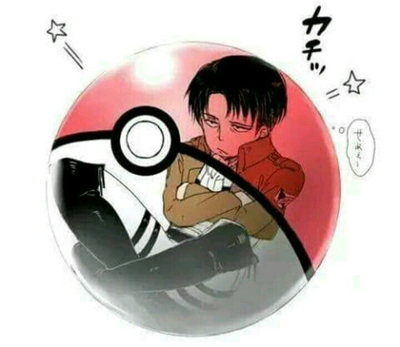 Pocket Levi