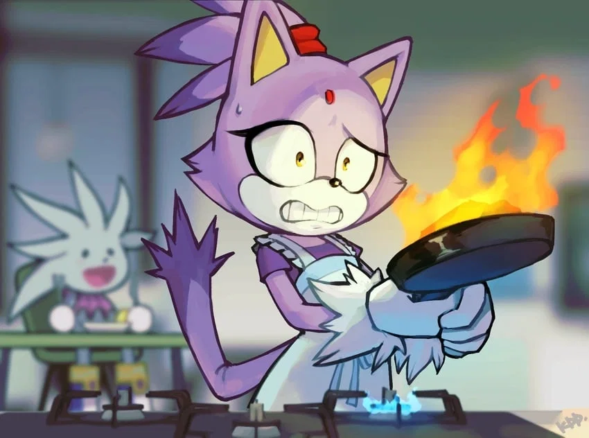 Blaze the Cat
