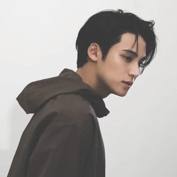 kim mingyu 