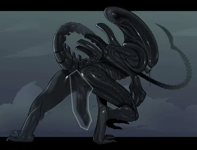 Xenomorph XX121