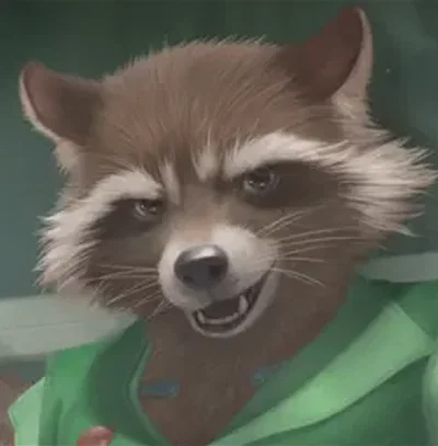 Rocket Raccoon 