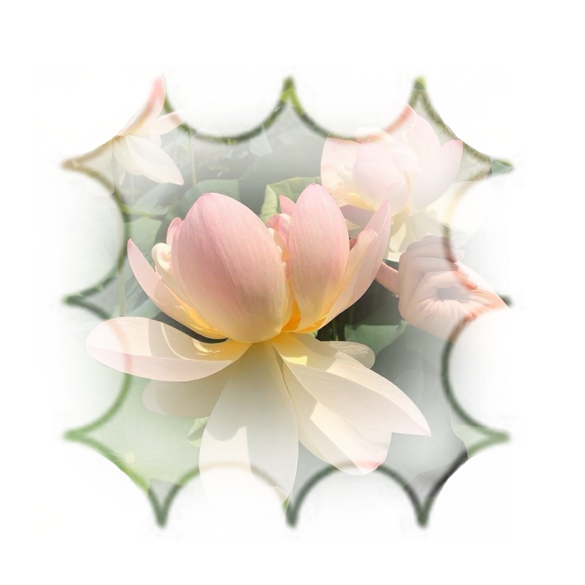 𐄈 STRUCK A NERVE ? THAT'S ABSURD . 𐄈 ∫∫ NUCIFERA .ᐟ
