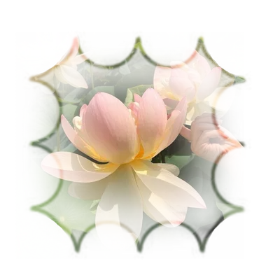 𐄈 STRUCK A NERVE ? THAT'S ABSURD . 𐄈 ∫∫ NUCIFERA .ᐟ