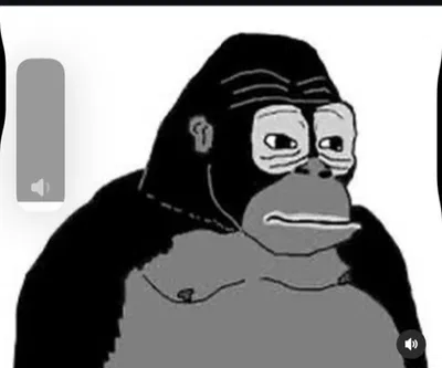 🦍🦍🦍Announcement🍌🍌🍌🍌