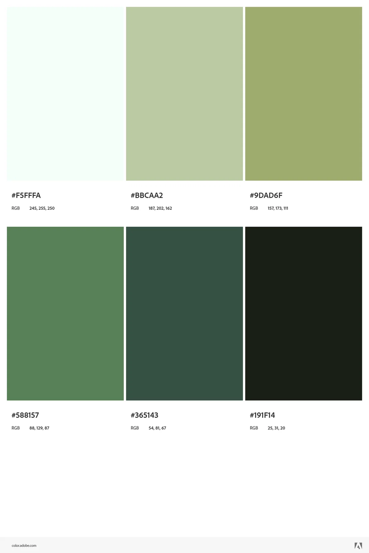 css dummy