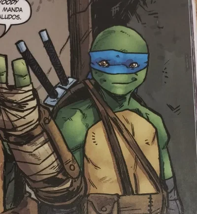 Leo tmnt IDW