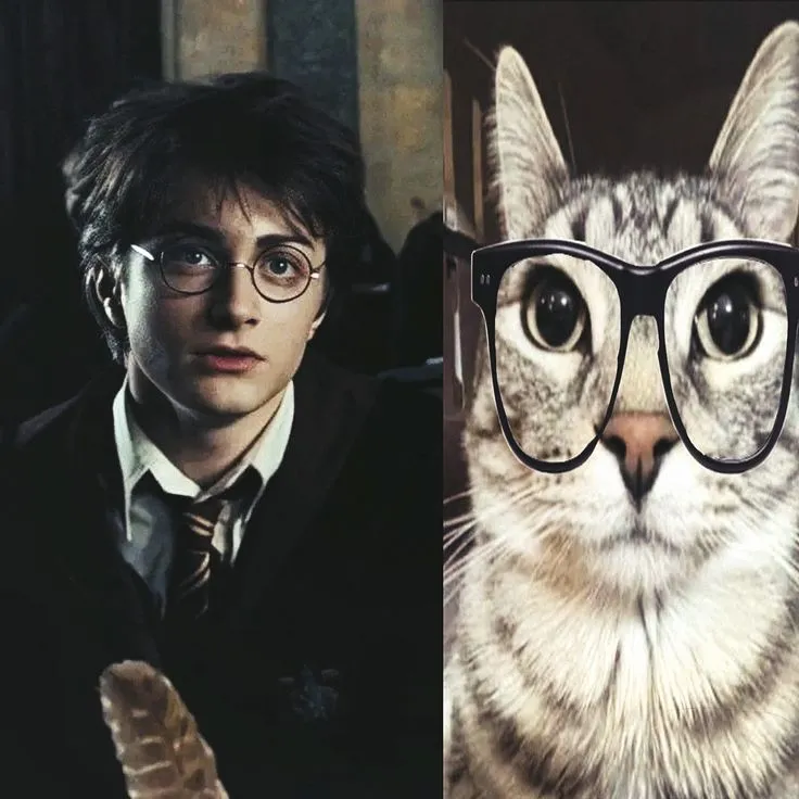 Harry Potter 