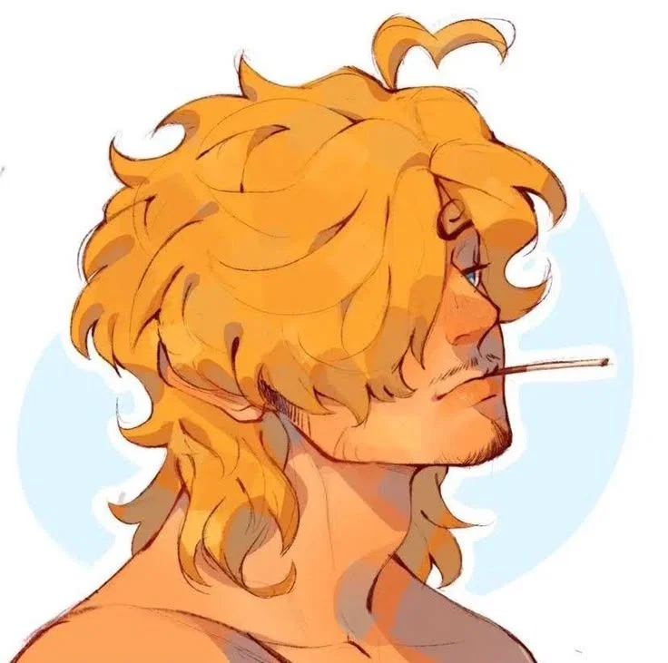 ꒰꒰ ✶ Sanji 🚬 ౨ৎ One Piece ⋆. ̊