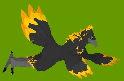 Some bird-- bird  