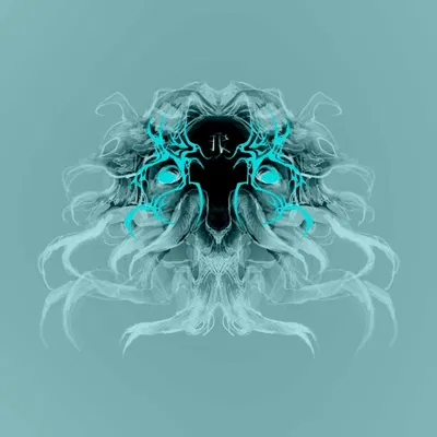What the hell is going on with the website?