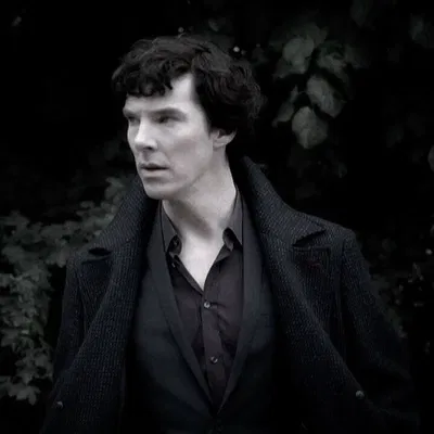 *⁠・⁠。゚|Sherlock Holmes 
