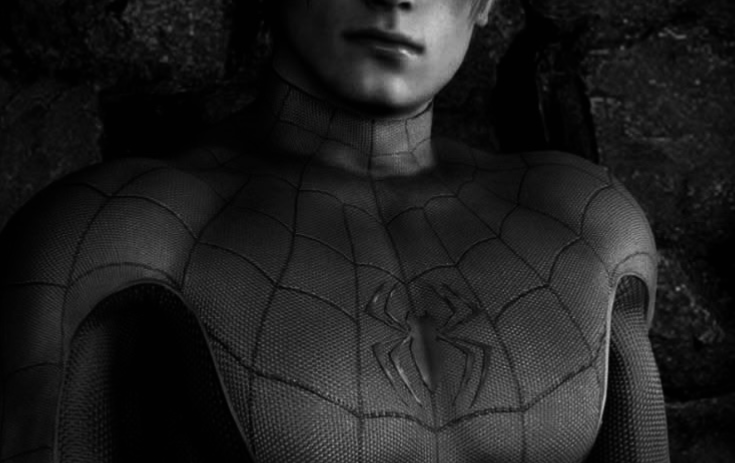 Leon Kennedy | Spider-Man