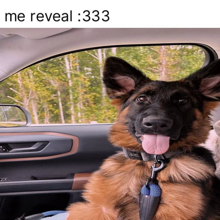 Another Question :3