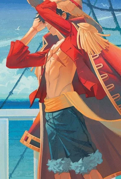 Monkey D. Luffy / One Piece 